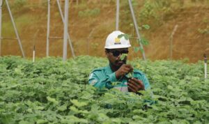 05062026_HN_Media Lokal-Site Visit_147 (1)
